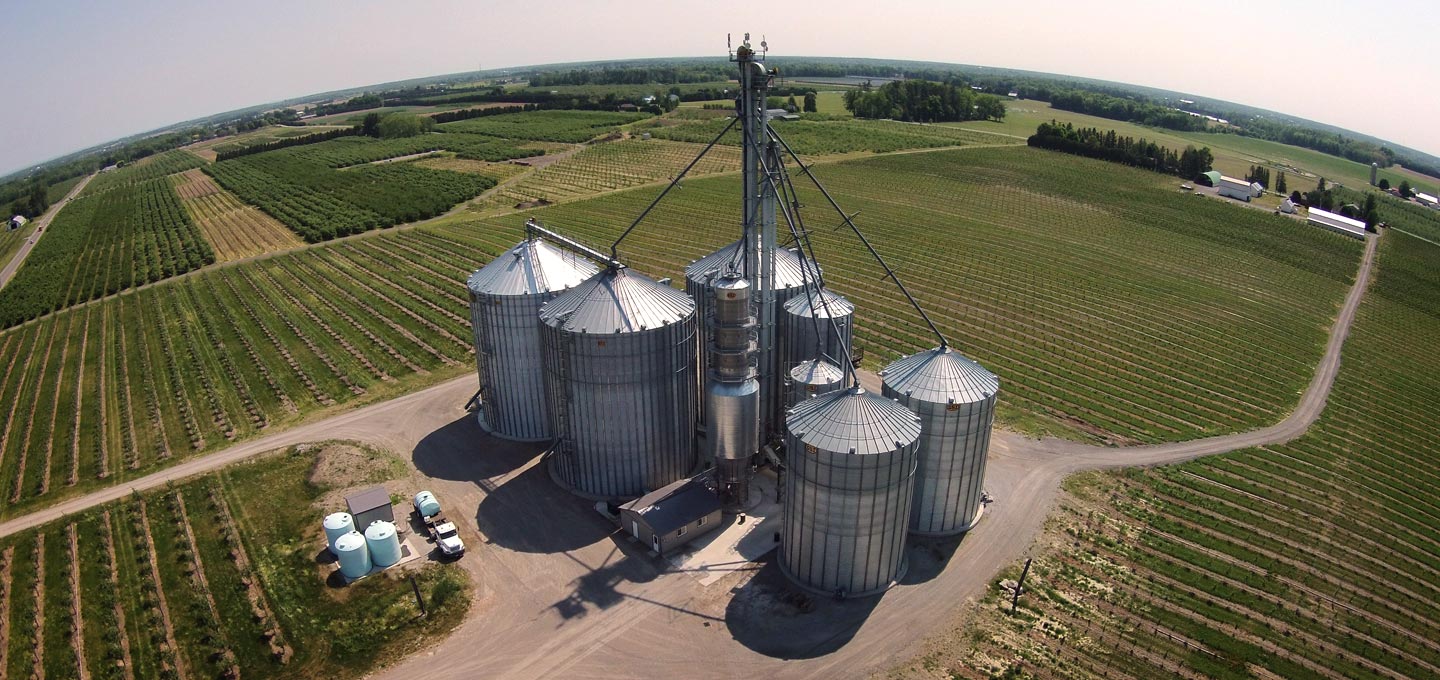 Grain and Oil Seed Silos