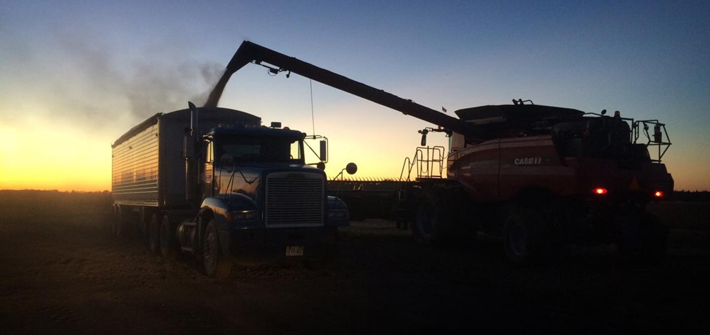 Harvest Sunset