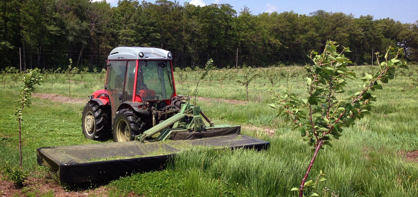 Mow mow mow your grass in a wee tractor